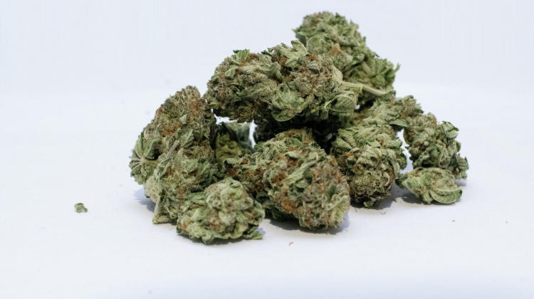 This Incubator Wants To Help People Of Color Start Dispensaries