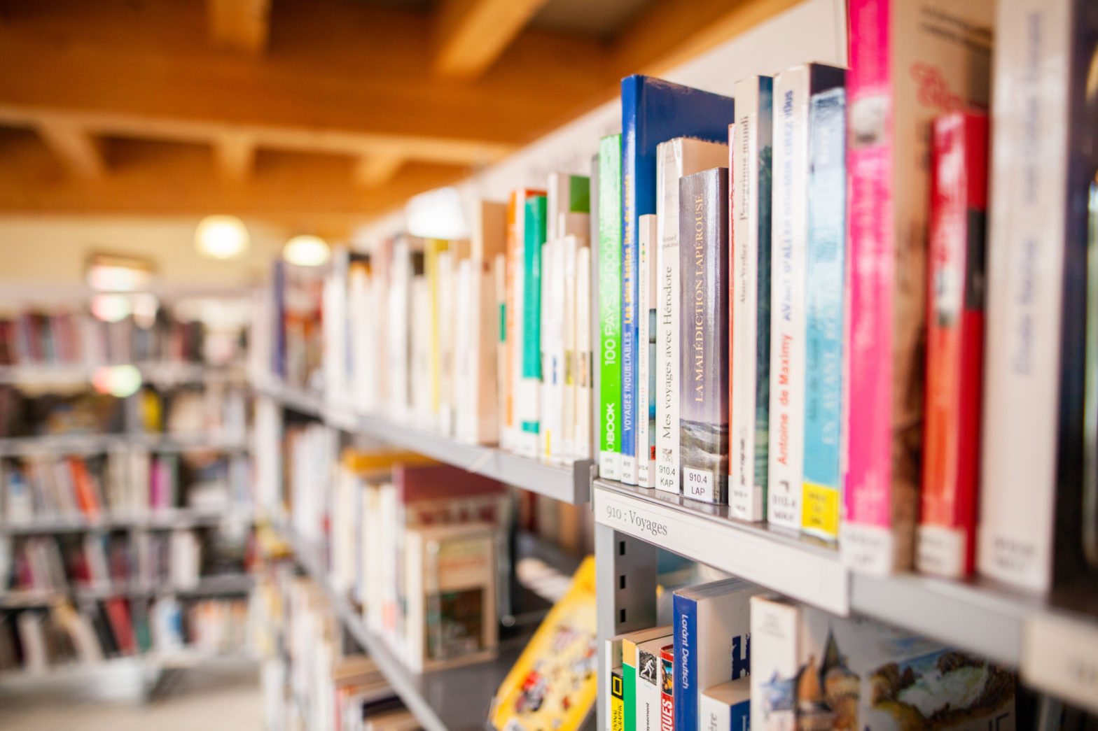 Couple To Open Their First Brick-And-Mortar Location For Children’s Bookstore