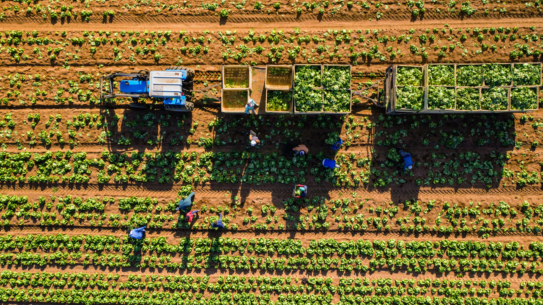 James Minton And His Family Run One Of New York's Few Black-Led Farms