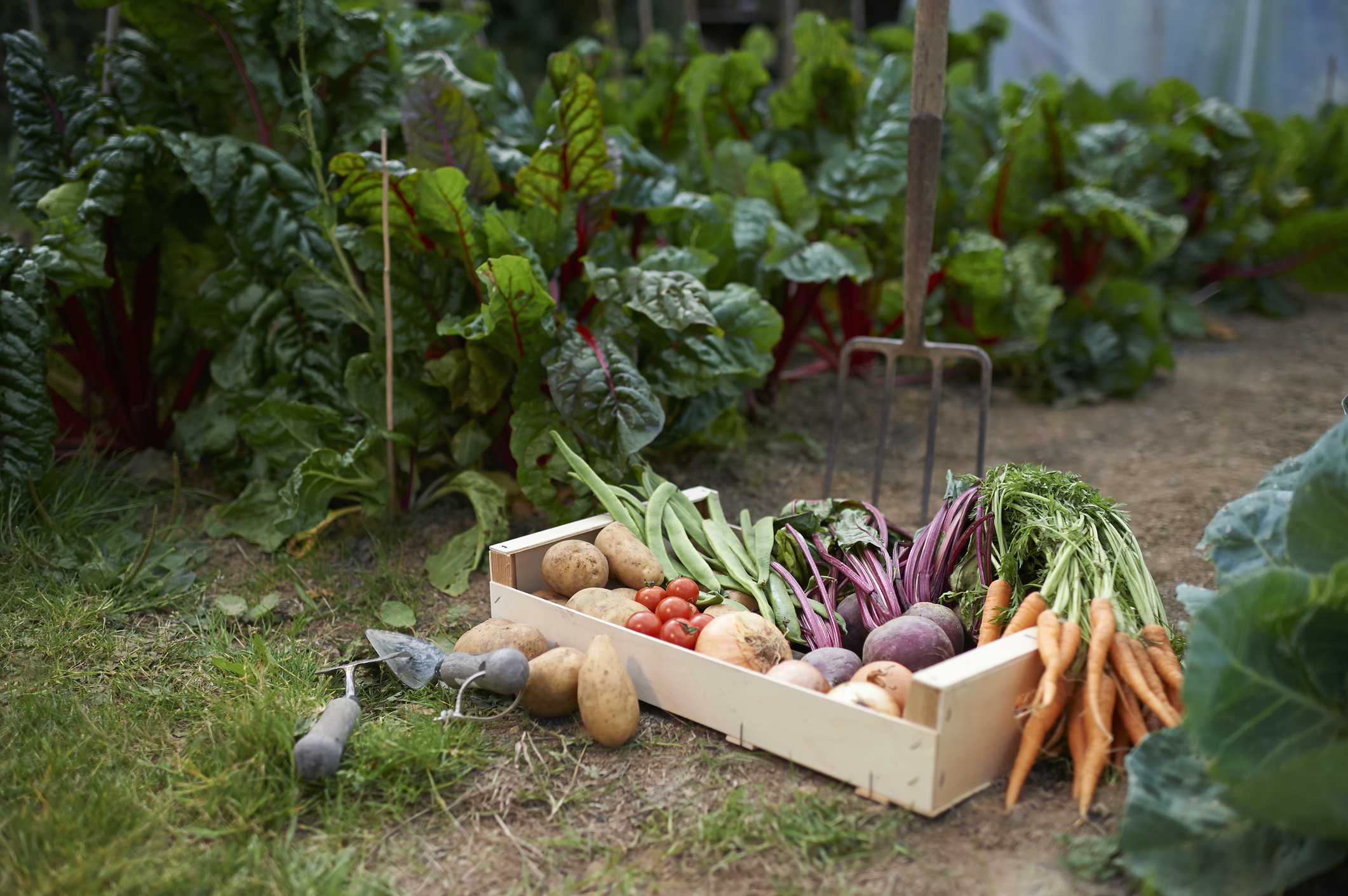 These Entrepreneurs Won A $30K Grant, Which They Plan To Use To Build A Community Garden To Combat Food Insecurity In Kansas City, MO